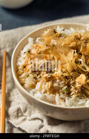 Healthy Homemade Tuna Cat Rice with Sesame Seeds and Bonito Flakes Stock Photo