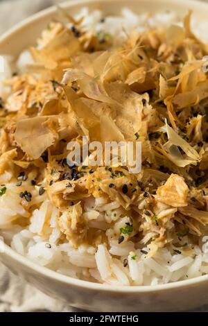 Healthy Homemade Tuna Cat Rice with Sesame Seeds and Bonito Flakes Stock Photo