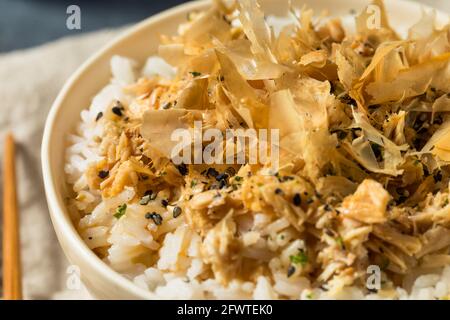 Healthy Homemade Tuna Cat Rice with Sesame Seeds and Bonito Flakes Stock Photo