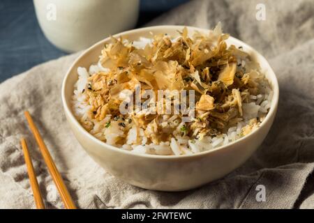 Healthy Homemade Tuna Cat Rice with Sesame Seeds and Bonito Flakes Stock Photo