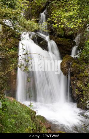 Waterfall at the source of the Llobregat river in Castellar de n'Hug, Catalonia. Waterfall in the middle of nature, long exposure and colour image. Ve Stock Photo