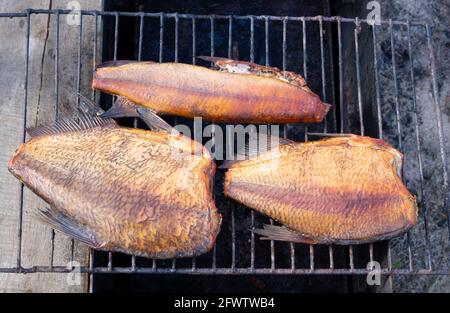 Three smoked fish in a makeshift smokehouse. Stock Photo