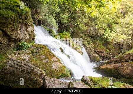 Waterfall in a wild environment, in the Catalan Pyrenees, full of vegetation. It is the source of the Llobregat river in Castellar de n'Hug, horizonta Stock Photo