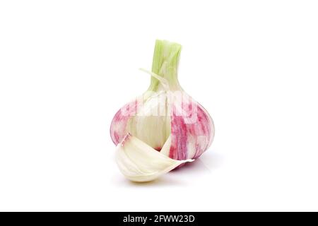 bulb of young spring garlic isolated on white background Stock Photo