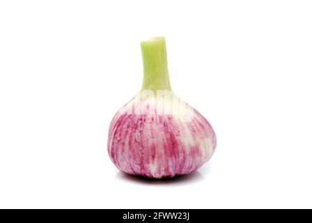 bulb of young spring garlic isolated on white background Stock Photo