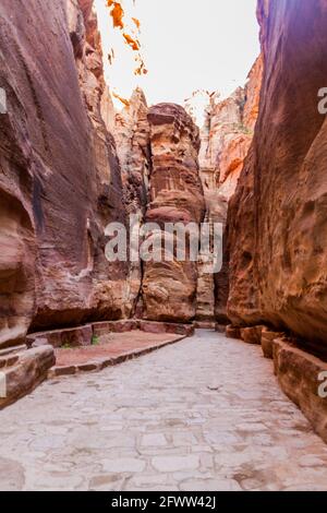 The Siq, narrow gorge, main entrance to the ancient city Petra, Jordan Stock Photo