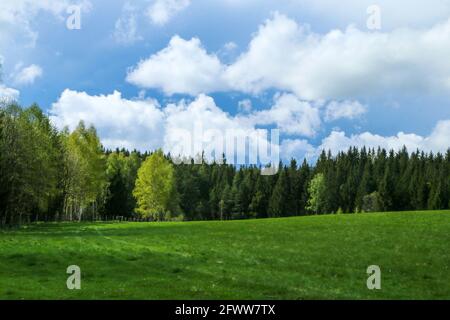 The beautiful pastures in the Šumava national park in Czech Republic with a fresh green grass during the beautiful sunny day. Stock Photo