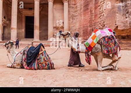 PETRA, JORDAN - MARCH 23, 2017: Camels in front of the Al Khazneh temple The Treasury in the ancient city Petra, Jordan Stock Photo