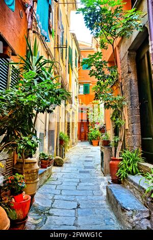 Colorful plant lined old street in the Cinque Terre village of Vernazza, Italy Stock Photo