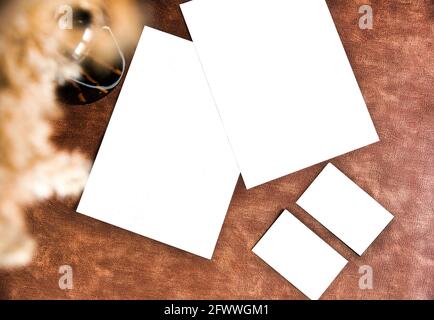 Business card and Flyer empty and blank for your design copy space on brown leather background texture, Modern style with pampas grass Stock Photo