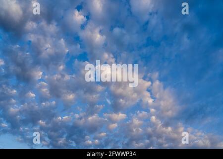 Beautiful clouds of different shapes in the sky before sunset Stock Photo