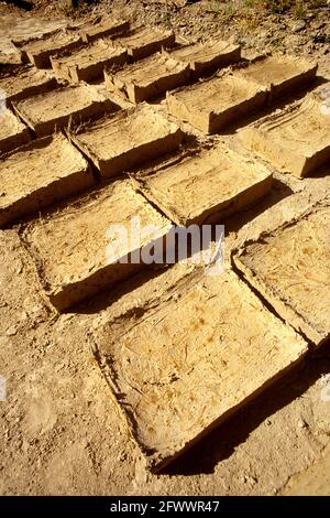 Adobe mud bricks drying in the sun. Bolivia Stock Photo - Alamy