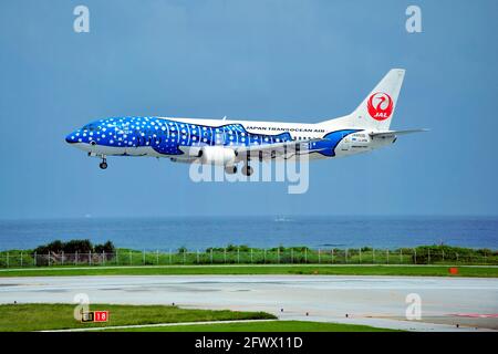 Japan Transocean Air, JTA, Boeing B-737/400, JA8939, Blue Whaleshark, Landing, Naha Airport, Naha, Okinawa, Ryukyu Islands, Japan