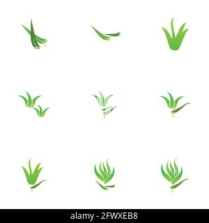 Set of aloevera logo template vector icon concept Stock Vector