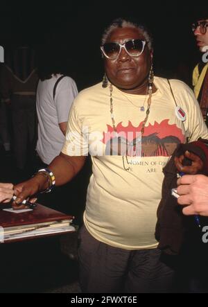 Esther Rolle  Circa 1980's Credit: Ralph Dominguez/MediaPunch Stock Photo