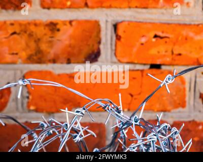 Barbed wire on a background of a red brick wall. Barbed wire. Brick wall. Red bricks. Protection of the territory. Closed area. Stainless steel. Priso Stock Photo