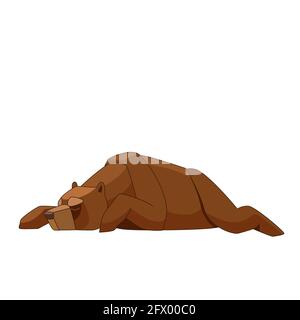 Grizzly brown bear sleeping. Cartoon flat vector illustration isolated on white background Stock Vector
