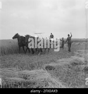 Soldiers lifting Black and White Stock Photos Images Alamy