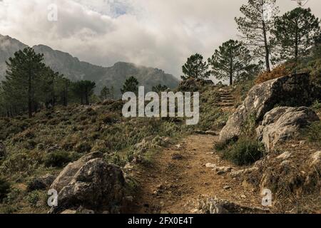 Scenery of rocky rough mountains covered with lush greenery and stones under cloudy sky in Seville Spain Stock Photo