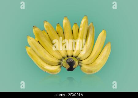 Group of yellow color ripe bananas  isolated on green colors background. Stock Photo