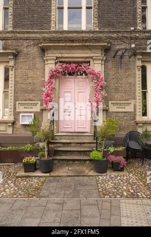 A view of Erpingham house with pink doors and pink flower all around on Tombland Stock Photo
