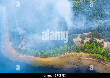 Forest fire burned trees after wildfire, pollution a lot of smoke Stock Photo