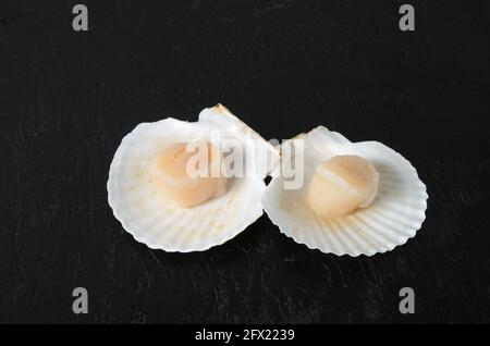 Two raw scallops in a shell on a dark wooden background. Selective focus. Stock Photo