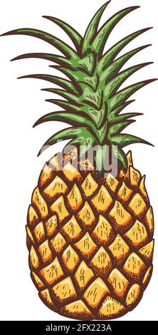 Icon Of Pineapple. Hand Drawn Sketch Design. Vector Illustration. Stock Vector