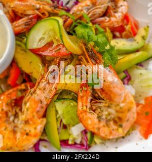 Closeup of salad with shrimp and vegetables from avocado, cucumber, green salad, tomato selected focus Stock Photo