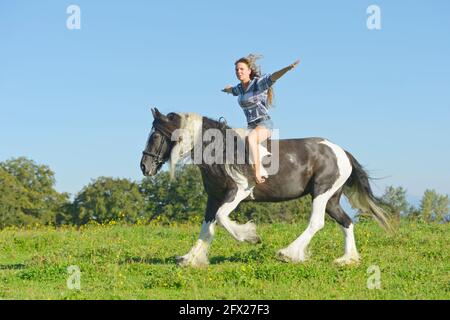Young rider bareback on a an Irish Cob horse cantering freehand in a meadow Stock Photo