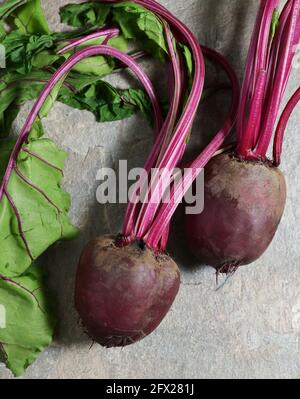 Red Beet Root With Leaves on stone table Stock Photo
