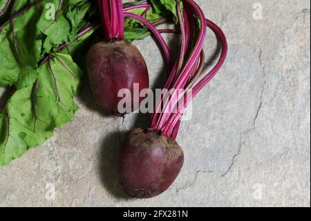 Red Beet Root With Leaves on stone table Stock Photo