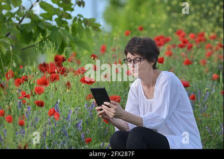 Woman In A Poppy Field Reading and Holding Tablet Book Stock Photo