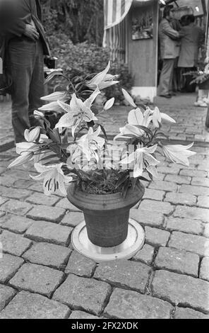 Princess Gracia of Monaco baptizes a lily at Floriade, September 16, 1972, lilies, The Netherlands, 20th century press agency photo, news to remember, documentary, historic photography 1945-1990, visual stories, human history of the Twentieth Century, capturing moments in time Stock Photo