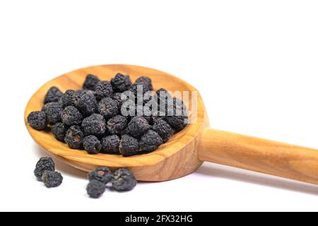 Dried Aronia berries, Aronia melanocarpa, on a wooden spoon Stock Photo