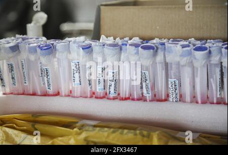 New Delhi, India. 25th May, 2021. Samples of swab tests seen after collecting the RT-PCR (Reverse Transcription Polymerase Chain Reaction) test from passengers at New Delhi Railway Station in Delhi. India is the world fastest growing pandemic adding 196,427 confirmed cases of covid-19 infection and 3,511 deaths by the pandemic. India death toll due to the virus now is 307,231. Credit: SOPA Images Limited/Alamy Live News Stock Photo