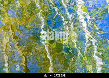 Tree reflections in Thomas Lake, Eagan, Minnesota. Mid-April. Stock Photo