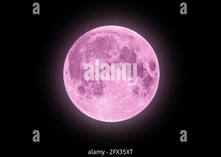 Full pink supermoon halo glowing on black night sky background Stock Photo