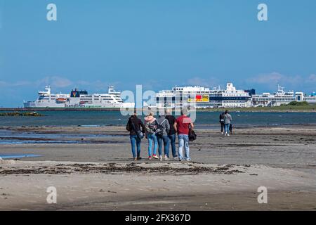 ferry arriving at the harbour, Puttgarden, Fehmarn Island, Schleswig-Holstein, Germany Stock Photo