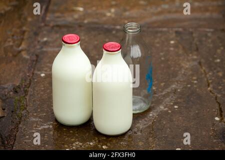Two full bottles of skimmed milk and one empty one Stock Photo