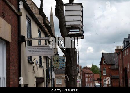 Beehive Inn in Grantham, the only pub with a living sign Stock Photo