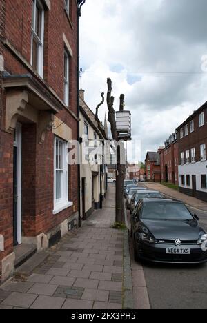 Beehive Inn in Grantham, the only pub with a living sign Stock Photo