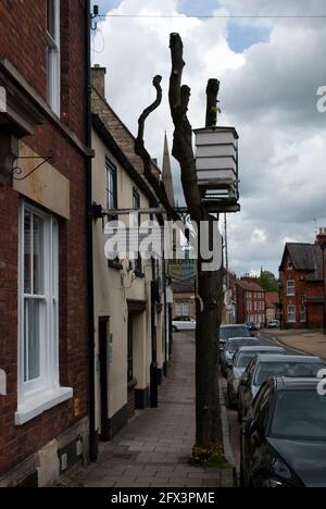 Beehive Inn in Grantham, the only pub with a living sign Stock Photo