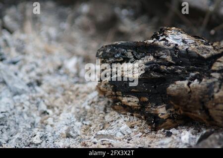 The charred log in the ash Stock Photo