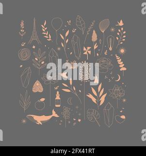 Set of different decorative elements with branches, flowers, animals and various objects drawing on gray background Stock Vector