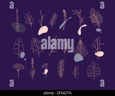 Set of different forms leaves in minimalism flat style on blue background Stock Vector