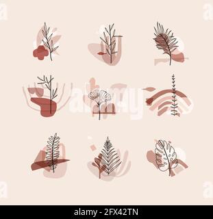 Set of different forms leaves in minimalism flat style on beige background Stock Vector