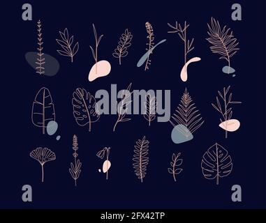 Set of different forms leaves in minimalism flat style on dark background Stock Vector