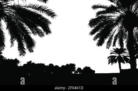 Palm trees vector silhouette. Coconut palm tree with coconuts vector. Beach vector trees. EPS 10 Stock Vector