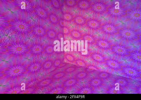 An abstract empty 3d interior background image. Stock Photo